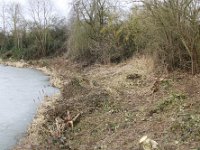 ArbeitseinsatzHolungsbuegelteich 2025 005