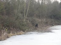 ArbeitseinsatzHolungsbuegelteich 2025 006