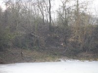 ArbeitseinsatzHolungsbuegelteich 2025 007