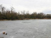 ArbeitseinsatzHolungsbuegelteich 2025 015