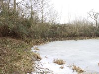 ArbeitseinsatzHolungsbuegelteich 2025 016