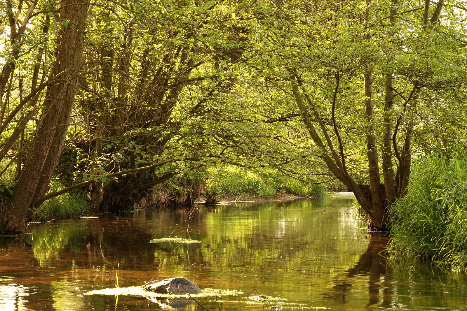 Br&uuml;cke Wallrode