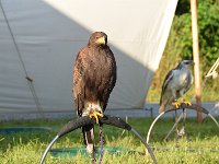 Jugendangellager 2024 011