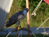 Jugendangellager 2024 012