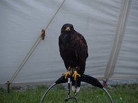 Jugendangellager 2024 013