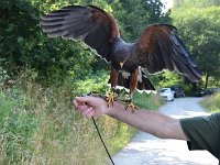 Jugendangellager 2024 127