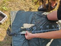 Jugendangellager 2024 209