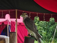 Jugendangellager 2024 232