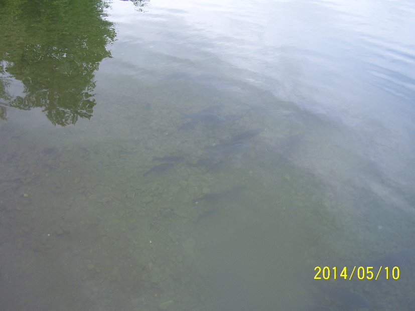 BesatzTauchersee2014_008