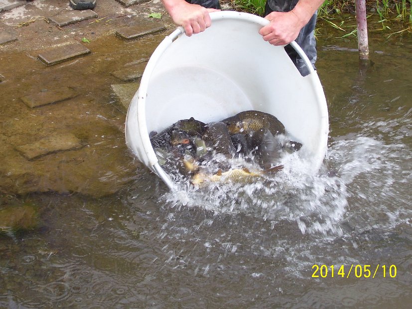 BesatzTauchersee2014_009