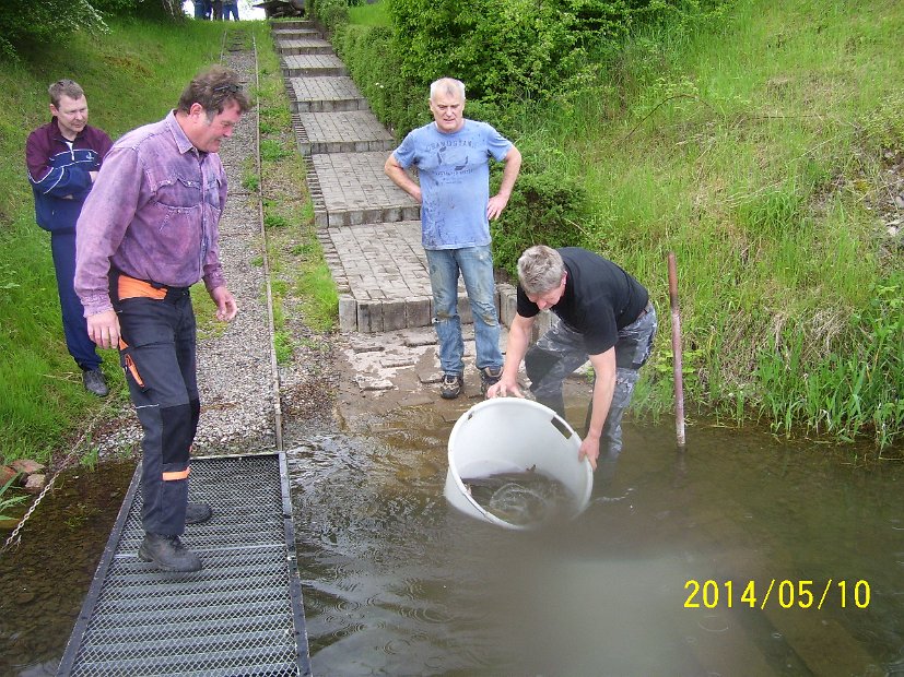 BesatzTauchersee2014_013