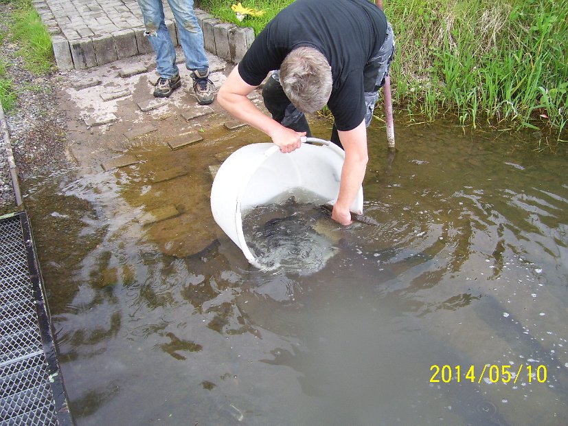 BesatzTauchersee2014_017