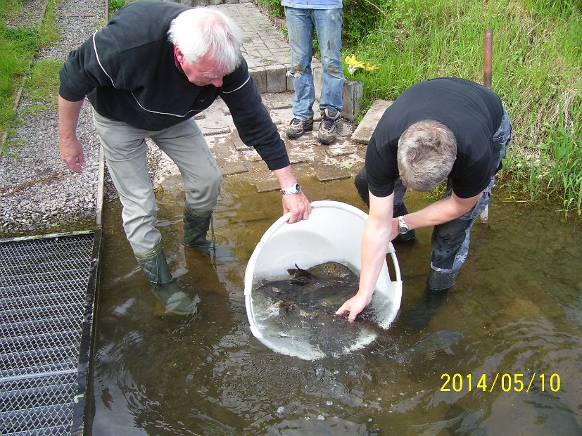 BesatzTauchersee2014_023