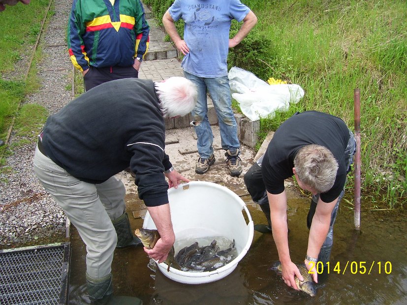 BesatzTauchersee2014_025