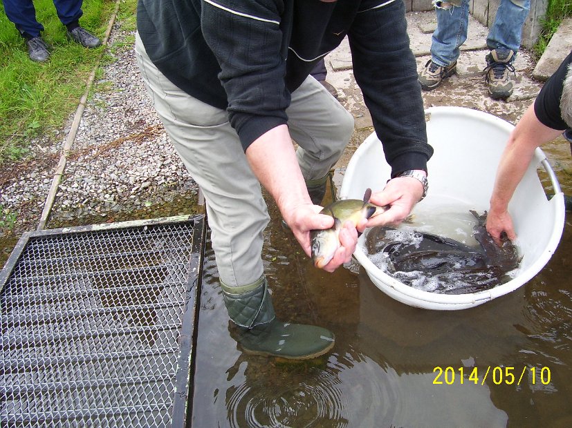 BesatzTauchersee2014_026