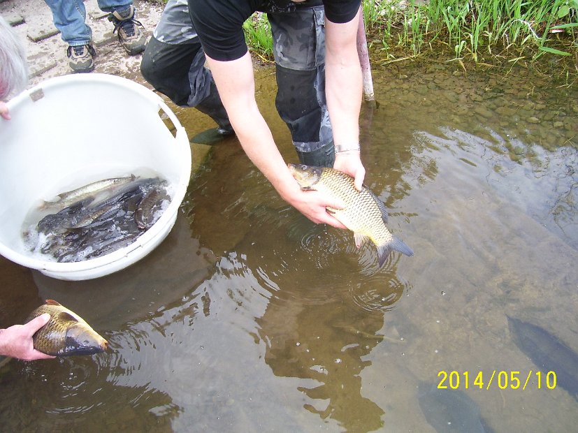 BesatzTauchersee2014_027