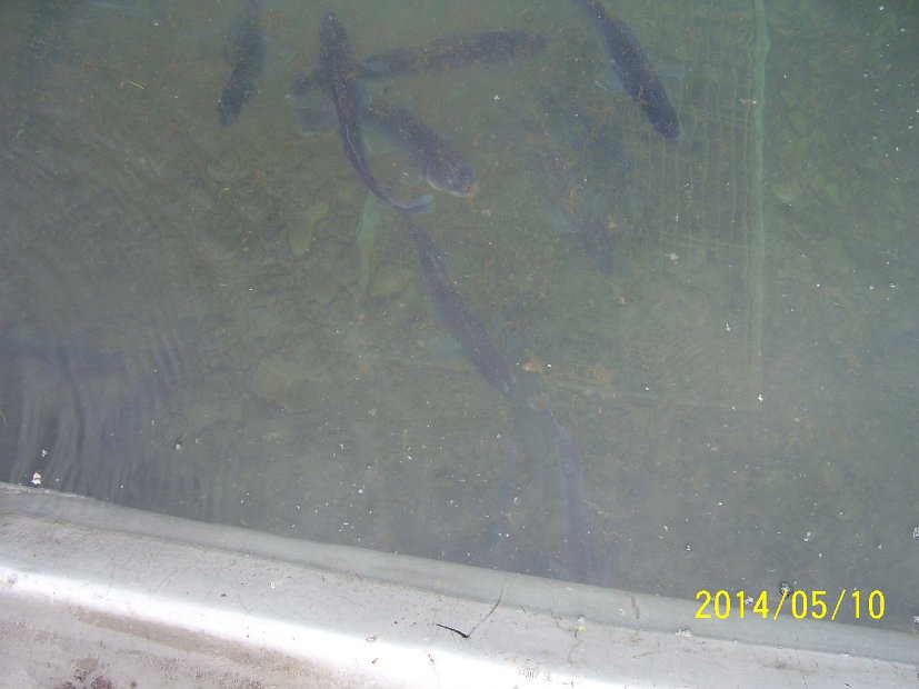 BesatzTauchersee2014_029