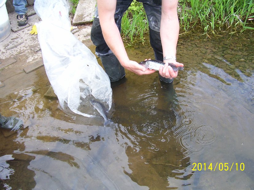 BesatzTauchersee2014_032