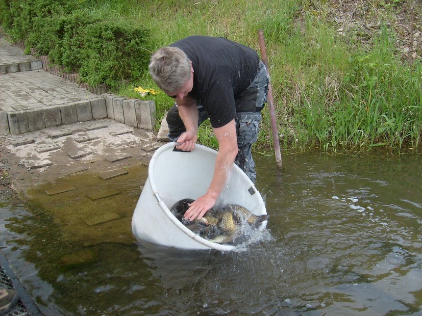 BesatzTauchersee2014_041