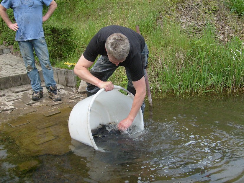 BesatzTauchersee2014_042