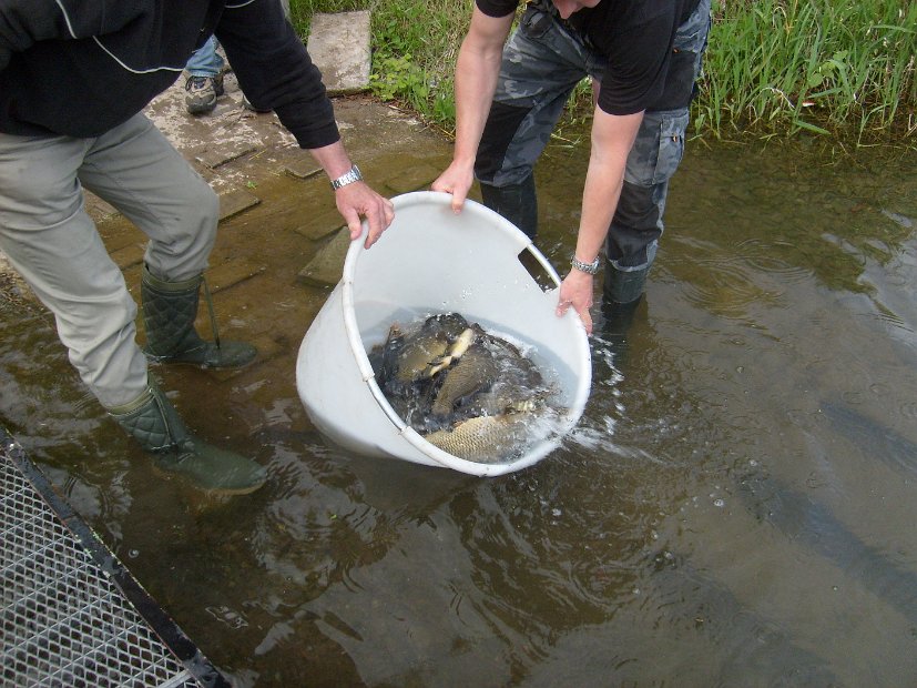 BesatzTauchersee2014_047