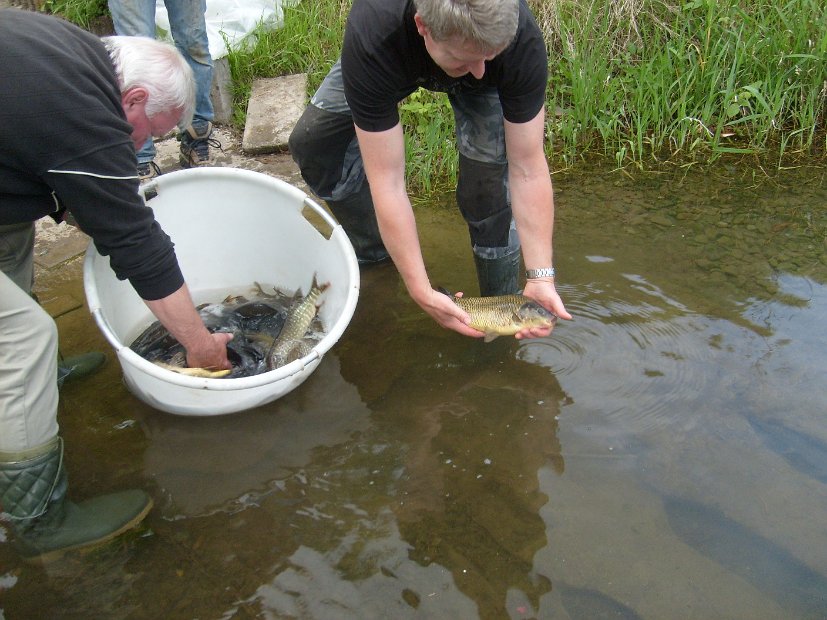 BesatzTauchersee2014_049