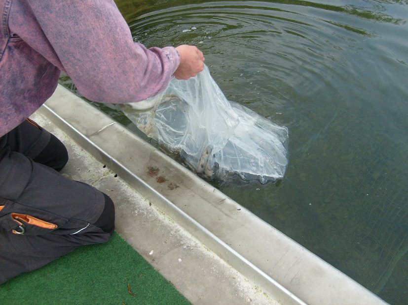 BesatzTauchersee2014_050