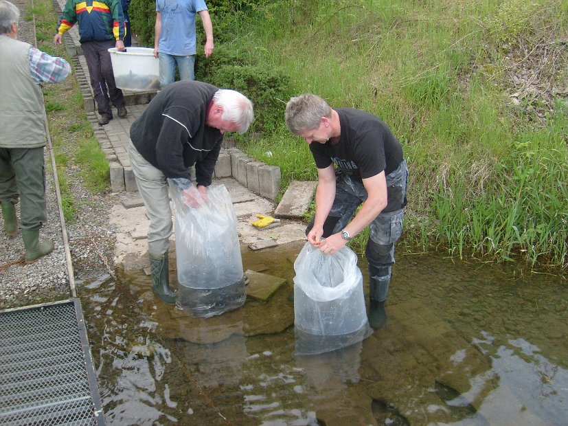 BesatzTauchersee2014_052