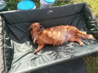 Hesserode Angeln 2014 007