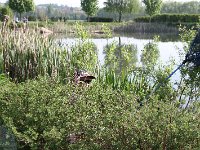 Seniorenangeln 2024 024