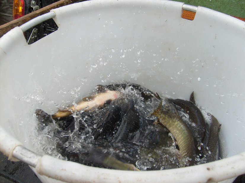 BesatzTauchersee2014_044